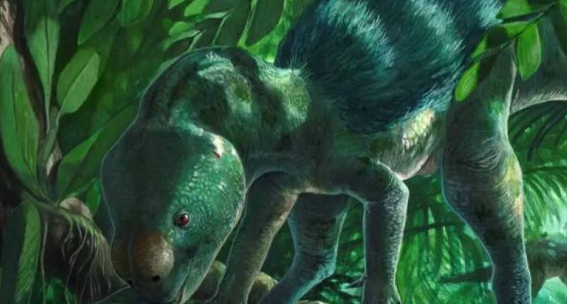 Descubren minidinosaurio herbívoro de 30 cm en España – La Voz del Altiplano