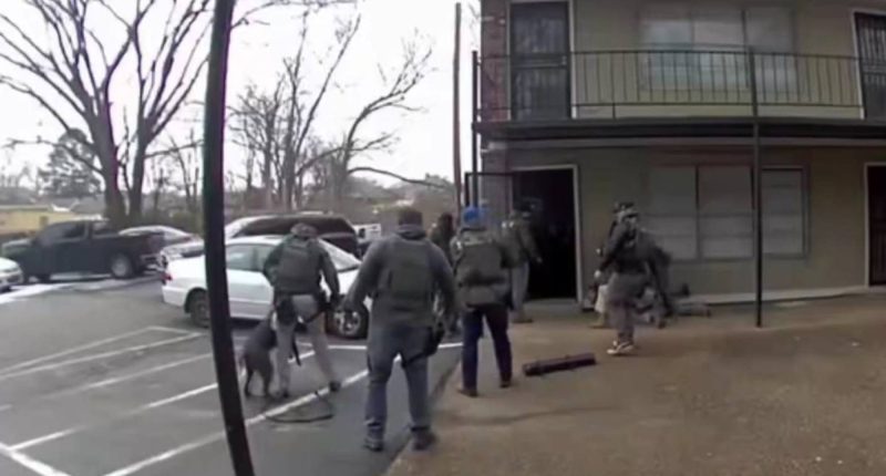 Indignación en EE. UU. por Agente Federal que Agrede a Perro – La Voz del Altiplano