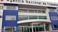 ANT reanuda matriculación de vehículos nuevos en Quito y Guayaquil – La Voz del Altiplano