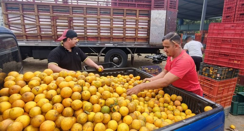 Costo operativo por camión a Colombia: ,000 desde Chone – La Voz del Altiplano
