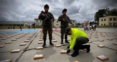 Ejército colombiano desmantela laboratorio de coca en frontera Ecuador – La Voz del Altiplano