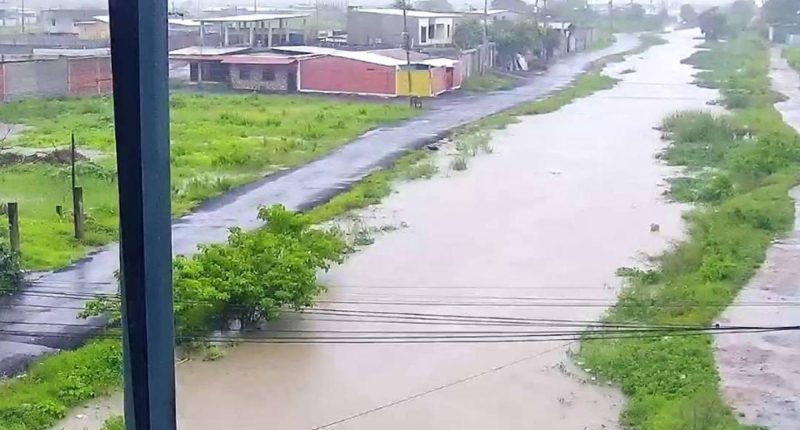 Lluvias causan inundaciones y caída de postes – La Voz del Altiplano