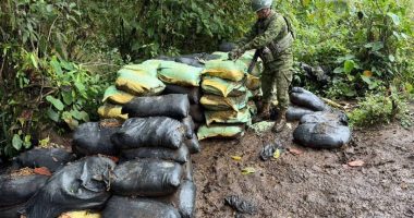 Fuerzas Armadas Desmantelan Campamento de Minería Ilegal – La Voz del Altiplano