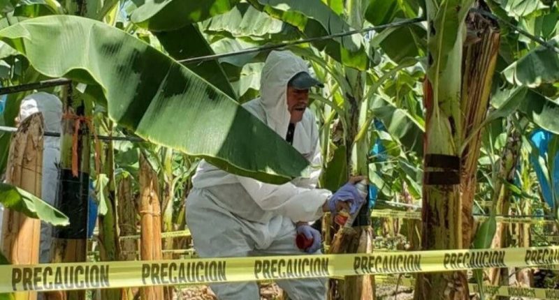 Protocolo de Emergencia en El Oro por Fuertes Lluvias – La Voz del Altiplano