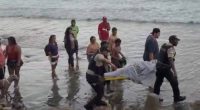 Cadáver flotó en playa El Murciélago, Manta – La Voz del Altiplano