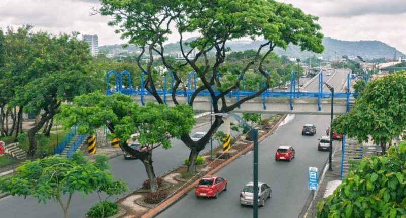 Rehabilitación completa del paso elevado en la Avenida Kennedy en Guayaquil – La Voz del Altiplano
