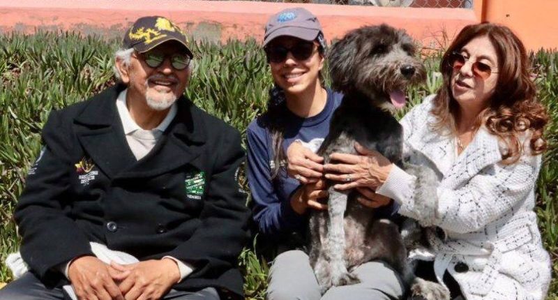 la nueva vida de Lupo – La Voz del Altiplano