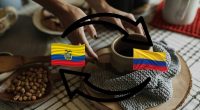 Ecuador y Colombia importan y exportan café entre sí – La Voz del Altiplano