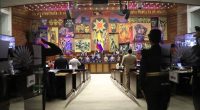 La Asamblea Nacional busca agilizar las adopciones – La Voz del Altiplano