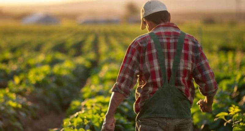 Oportunidad laboral en EE. UU para agrícola – La Voz del Altiplano