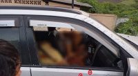 Madre e hija son asesinadas con violencia en Tosagua – La Voz del Altiplano