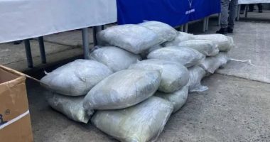 Policía halla cocaína en sacos de cemento en Posorja – La Voz del Altiplano