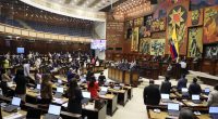 Asamblea acelera investigación sobre financiamiento irregular – La Voz del Altiplano