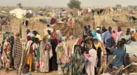 hambruna y violencia en Darfur – La Voz del Altiplano
