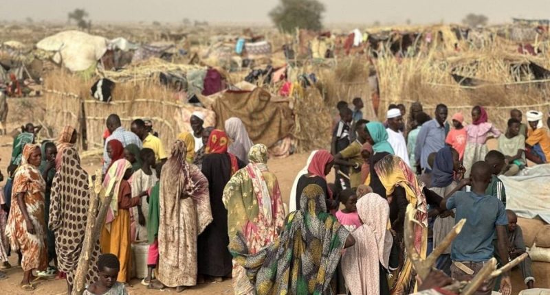 hambruna y violencia en Darfur – La Voz del Altiplano