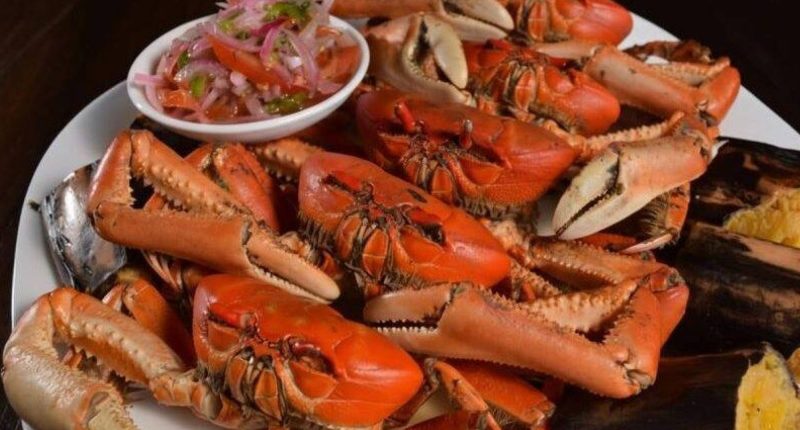 Inicia veda cangrejo rojo y azul en Ecuador – La Voz del Altiplano