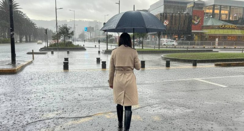 Lluvias en Quito el 2 de febrero: Inamhi informa – La Voz del Altiplano