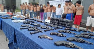 En operativos desmantelan redes criminales y 773 kg de droga – La Voz del Altiplano