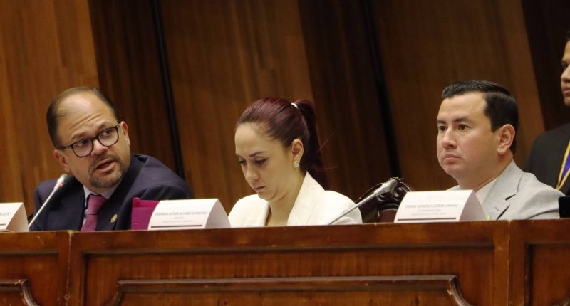 Fiscalización por emisión irregular de matrículas – La Voz del Altiplano