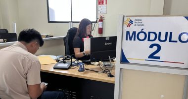 Licencia de conducir en pausa por cierre total de la ANT – La Voz del Altiplano