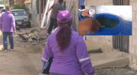 Estos son los barrios de Portoviejo donde el dengue ya encendió las alertas sanitarias – La Voz del Altiplano