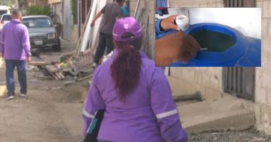 Estos son los barrios de Portoviejo donde el dengue ya encendió las alertas sanitarias – La Voz del Altiplano