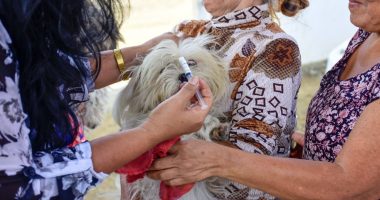 El futuro de la Fundación Rescate Portoviejo en peligro – La Voz del Altiplano