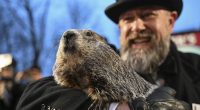Phil la Marmota predice seis semanas más de invierno – La Voz del Altiplano