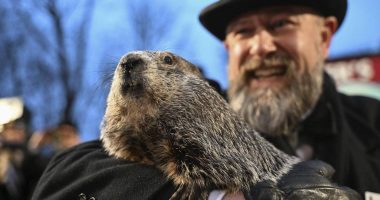 Phil la Marmota predice seis semanas más de invierno – La Voz del Altiplano