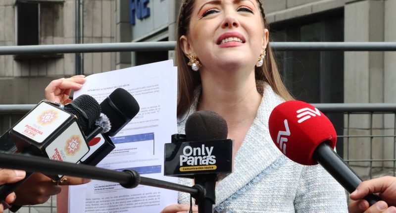 Asambleísta Mónica Palacios denuncia a Cynthia Gellibert – La Voz del Altiplano