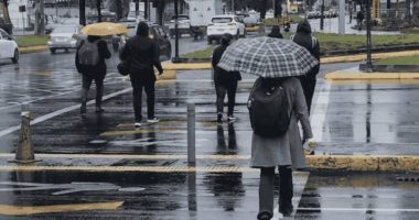 Clima en tu ciudad hoy 3 de febrero lluvias – La Voz del Altiplano
