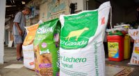 Ajuste de precios en alimentos para mascotas en febrero 2024 – La Voz del Altiplano