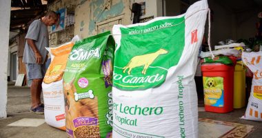 Ajuste de precios en alimentos para mascotas en febrero 2024 – La Voz del Altiplano