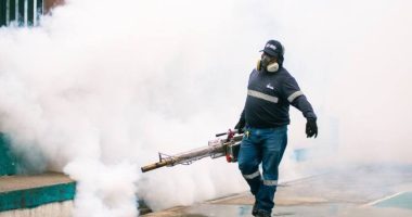 Fumigación y desratización efectiva en el Suburbio de Guayaquil – La Voz del Altiplano