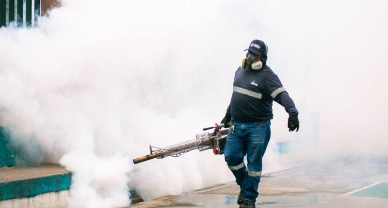 Fumigación y desratización efectiva en el Suburbio de Guayaquil – La Voz del Altiplano