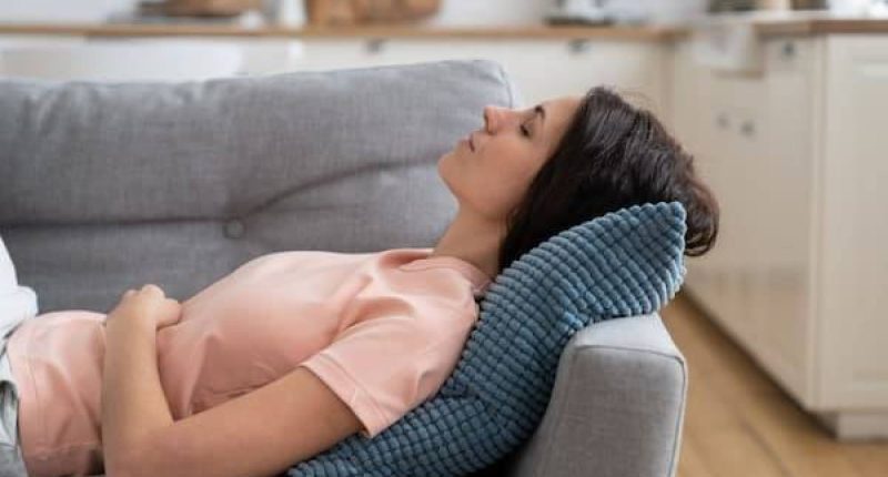 Cómo una breve siesta mejora el aprendizaje del cerebro – La Voz del Altiplano