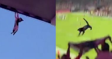 Aficionados salvan gato en partido y el estadio aplaude – La Voz del Altiplano