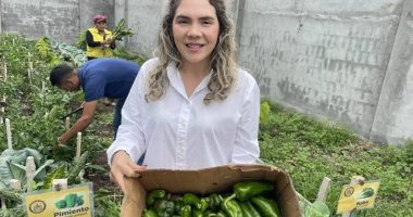 Gobernación de Los Ríos niega ataque armado a viceprefecta – La Voz del Altiplano