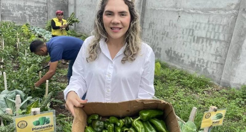 Gobernación de Los Ríos niega ataque armado a viceprefecta – La Voz del Altiplano