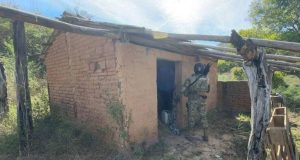 Fiscalía de México identifica 5 cuerpos en caso de secuestro Sinaloa – La Voz del Altiplano