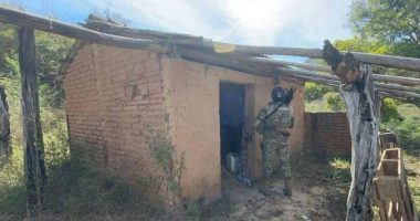 Fiscalía de México identifica 5 cuerpos en caso de secuestro Sinaloa – La Voz del Altiplano