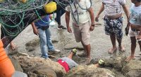 Identifican a víctimas del hecho violento en San Vicente – La Voz del Altiplano