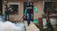 Guayaquil intensifica fumigación contra dengue por el invierno – La Voz del Altiplano