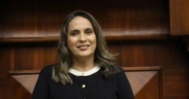 Alexandra Villacís inhabilitada para presidencia del CJ – La Voz del Altiplano