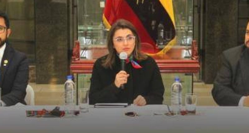 María José Pinto ausente en comisión de salud – La Voz del Altiplano