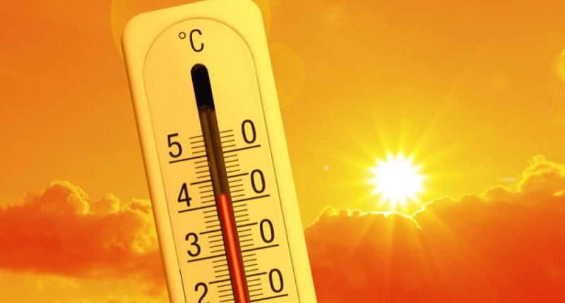 Evita los golpes de calor – La Voz del Altiplano