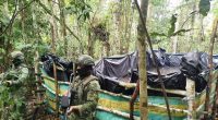 Desmantelan 3 piscinas clandestinas y confiscan 3,500 galones en Sucumbíos – La Voz del Altiplano