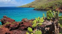 Extraer Materiales Fuera del Parque Galápagos – La Voz del Altiplano