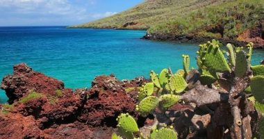 Extraer Materiales Fuera del Parque Galápagos – La Voz del Altiplano