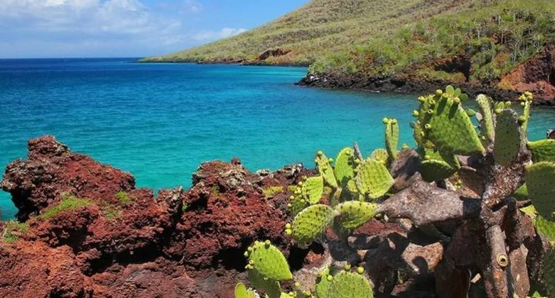 Extraer Materiales Fuera del Parque Galápagos – La Voz del Altiplano